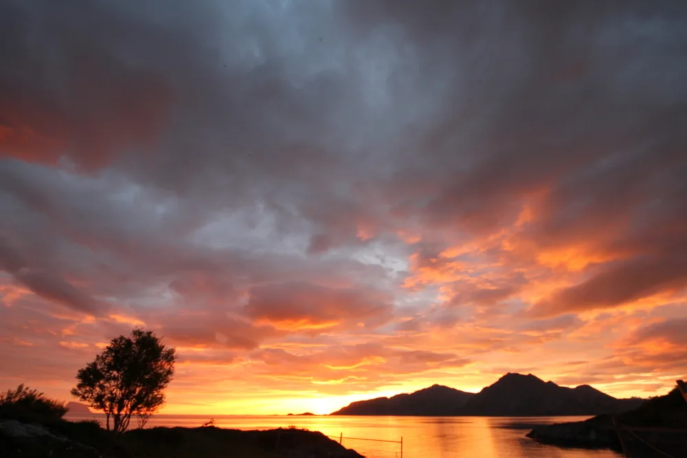 Sunset with a tree, sea and mountains at Løkta, Dønna