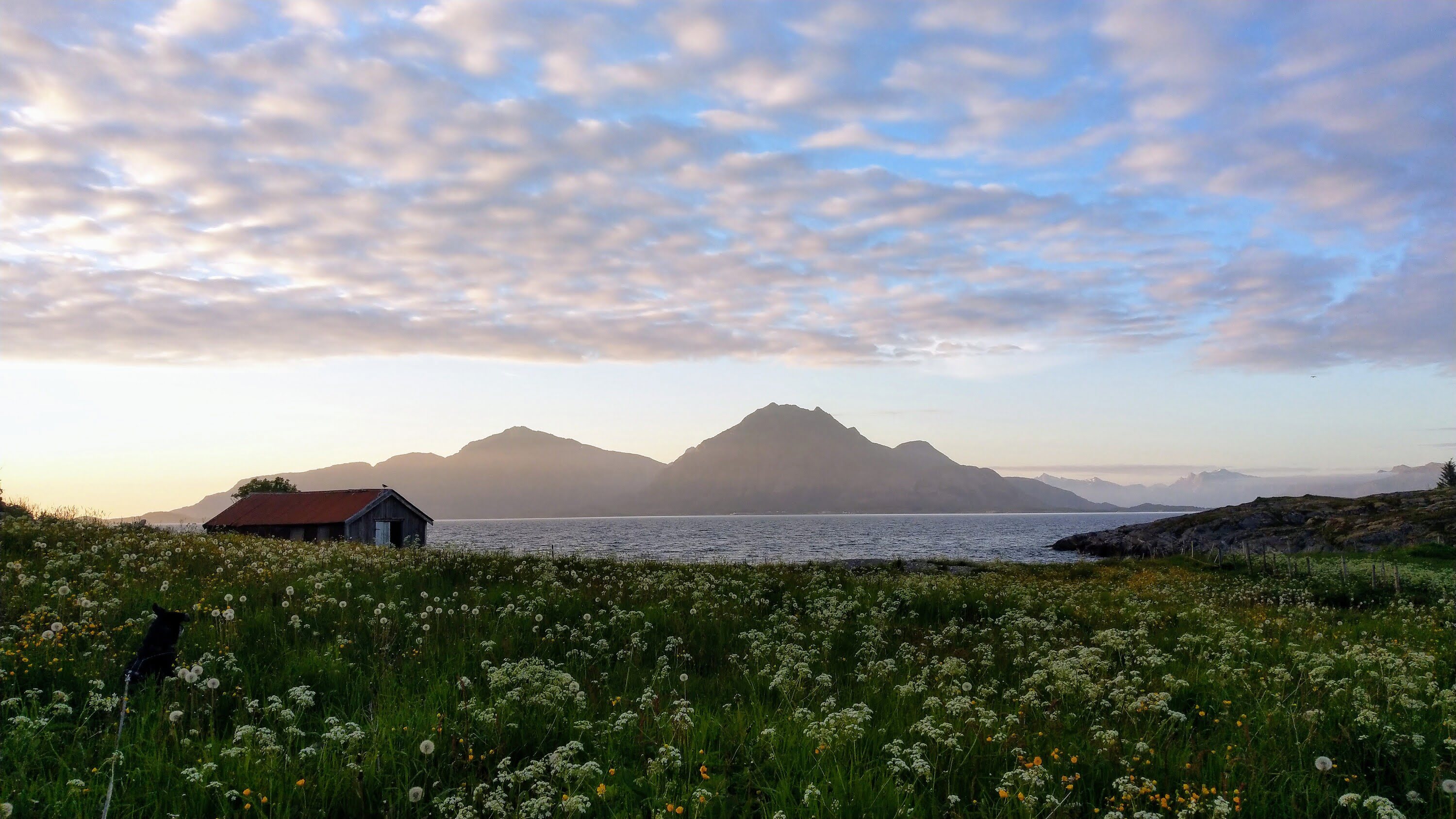 Løkta island aerial view showing coastline and mountains
