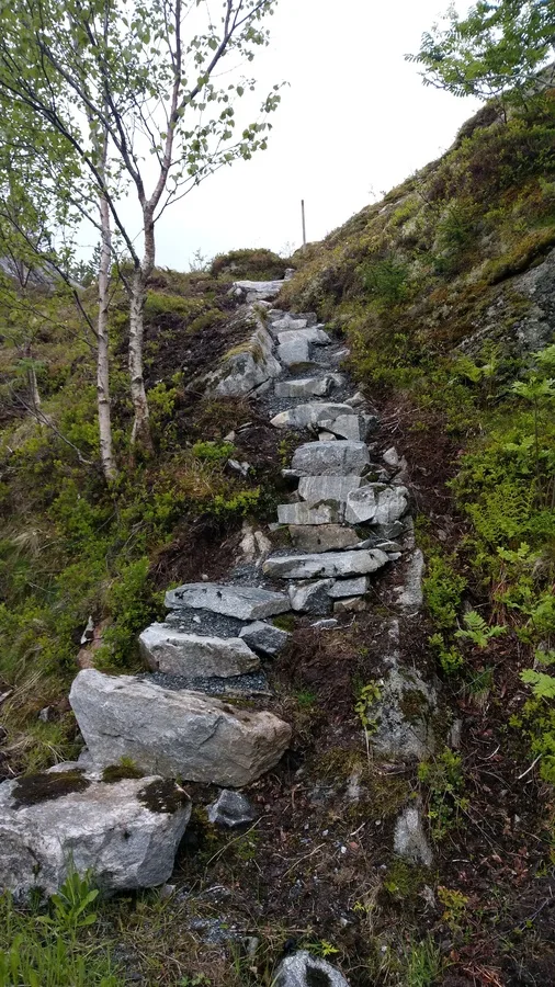 Stone stairs in the forest