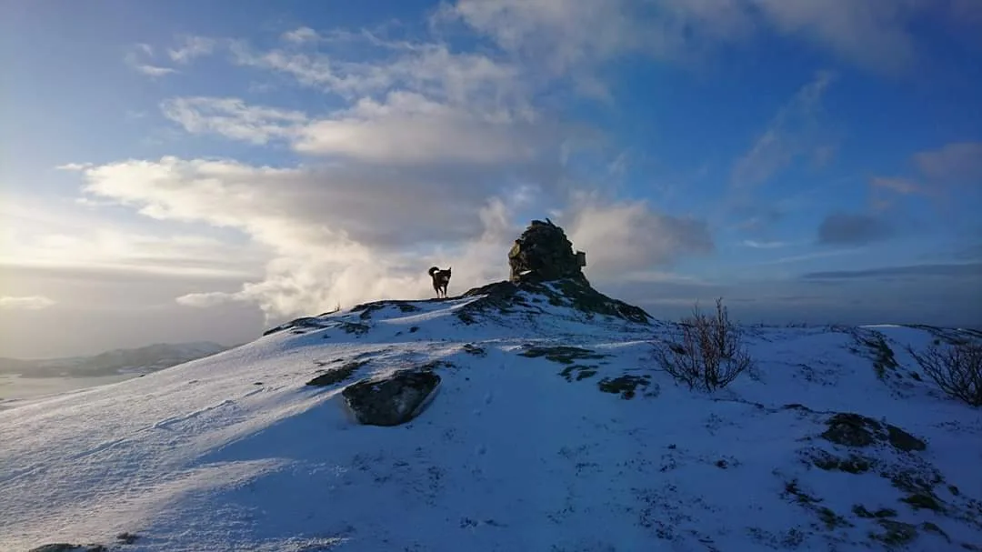 Sandåkerfjellet in March