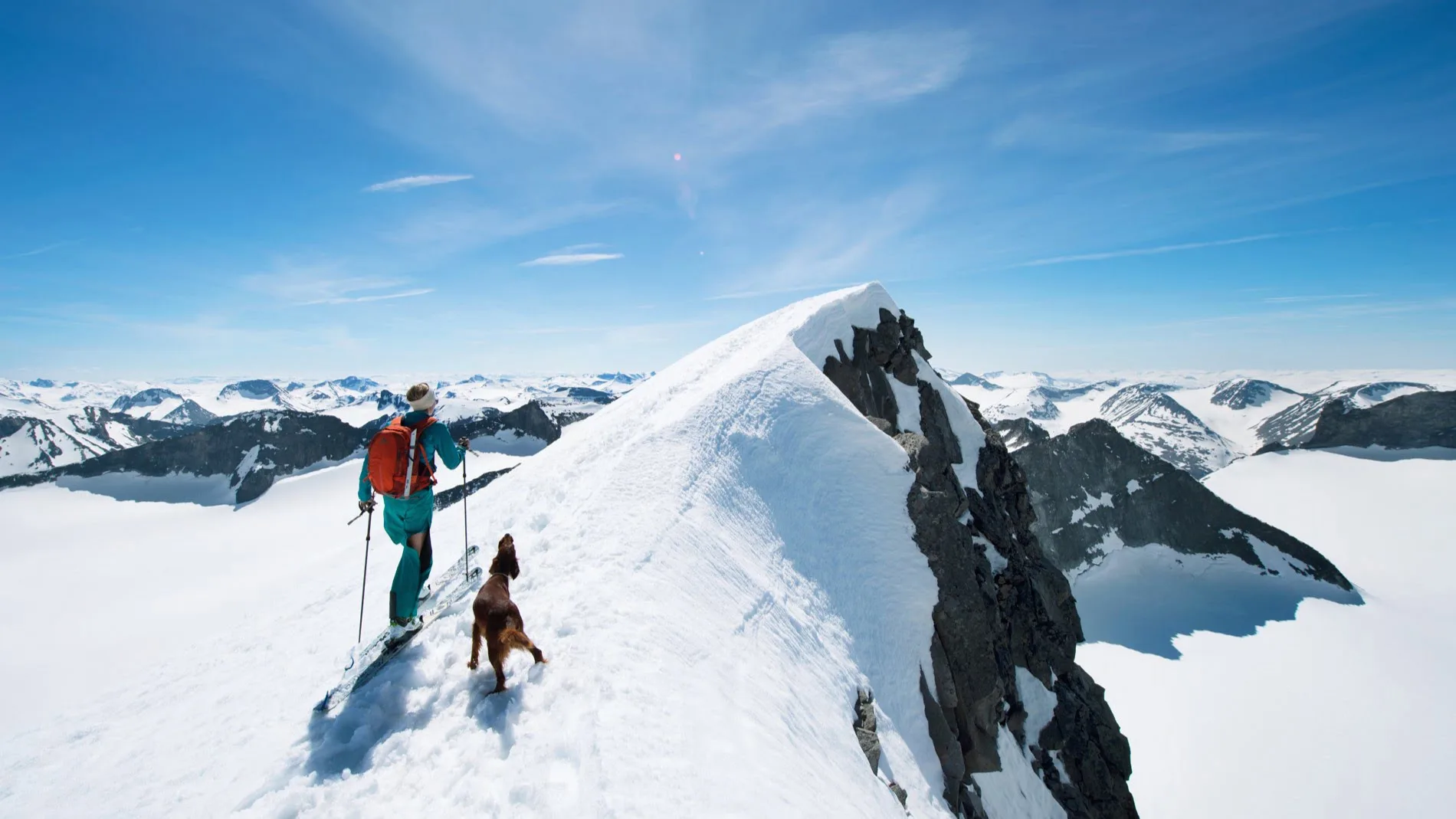 A man skiing with a dog on top of snow-covered mountains