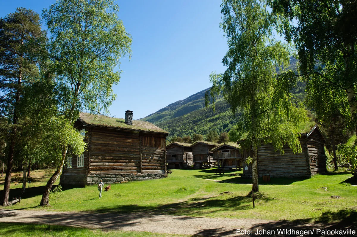 Old timbered buildings with grass on the roof