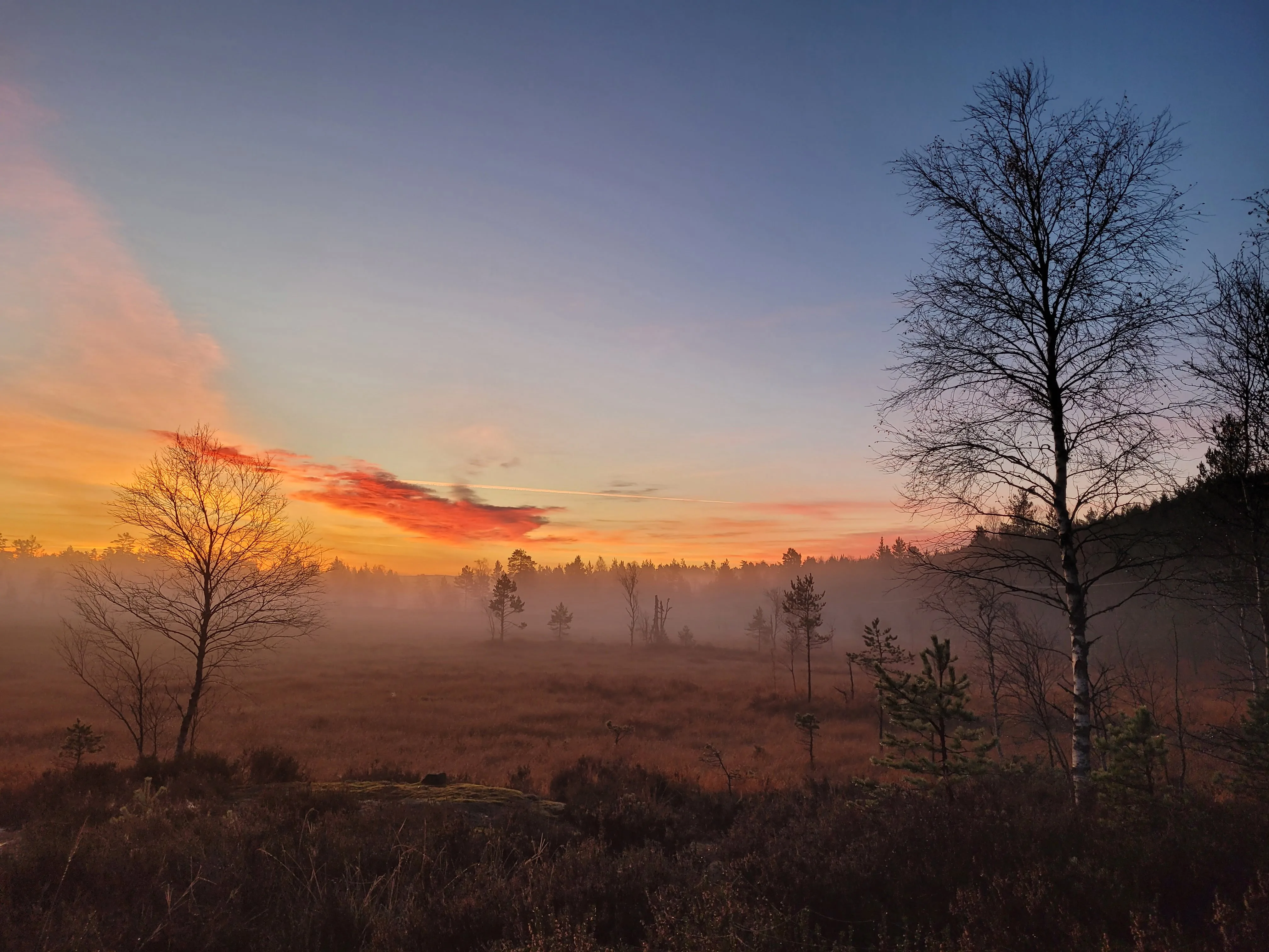 Morning mist over the forests of Mykland
