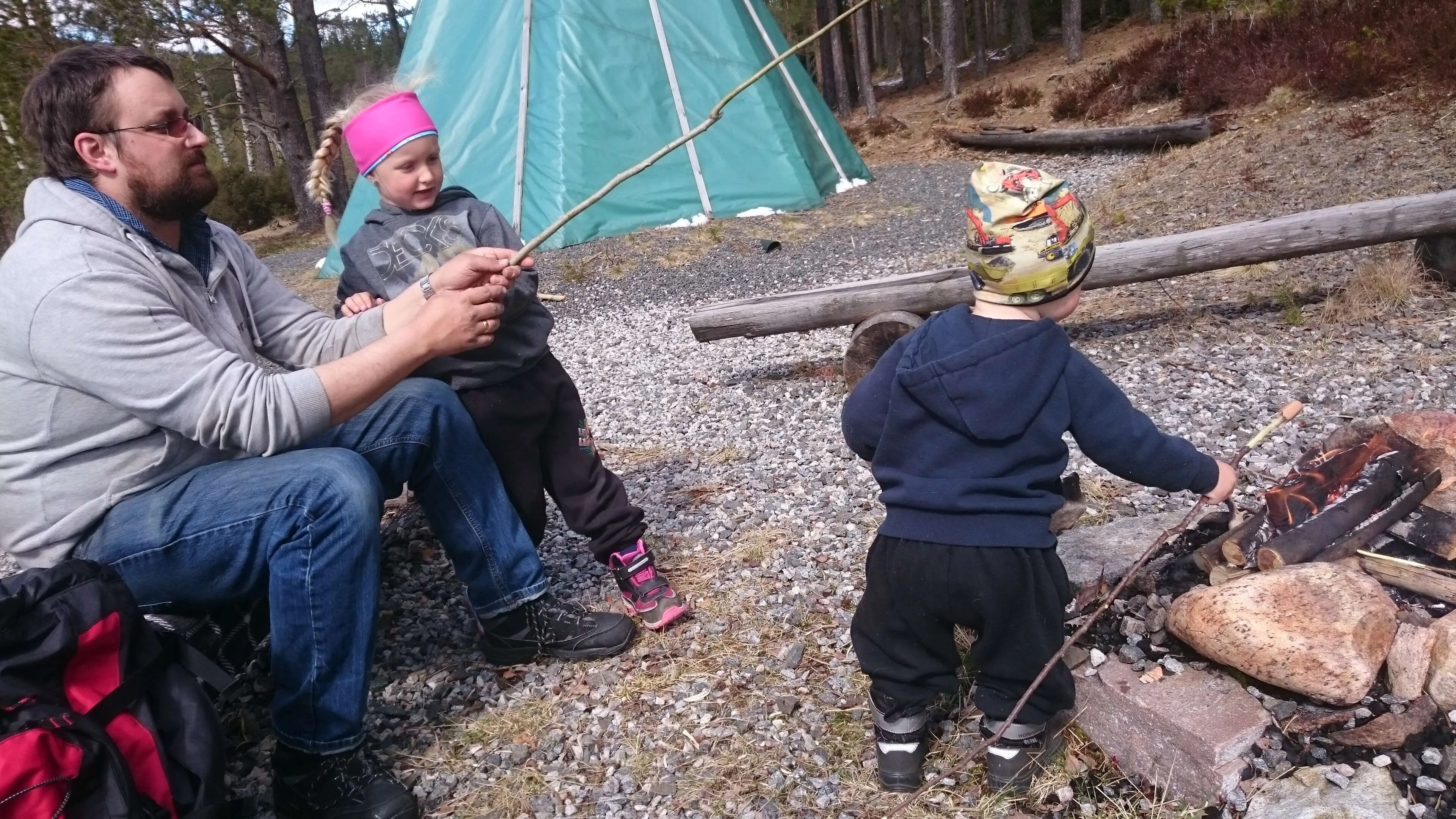 Wide landscape view of Mykland forests