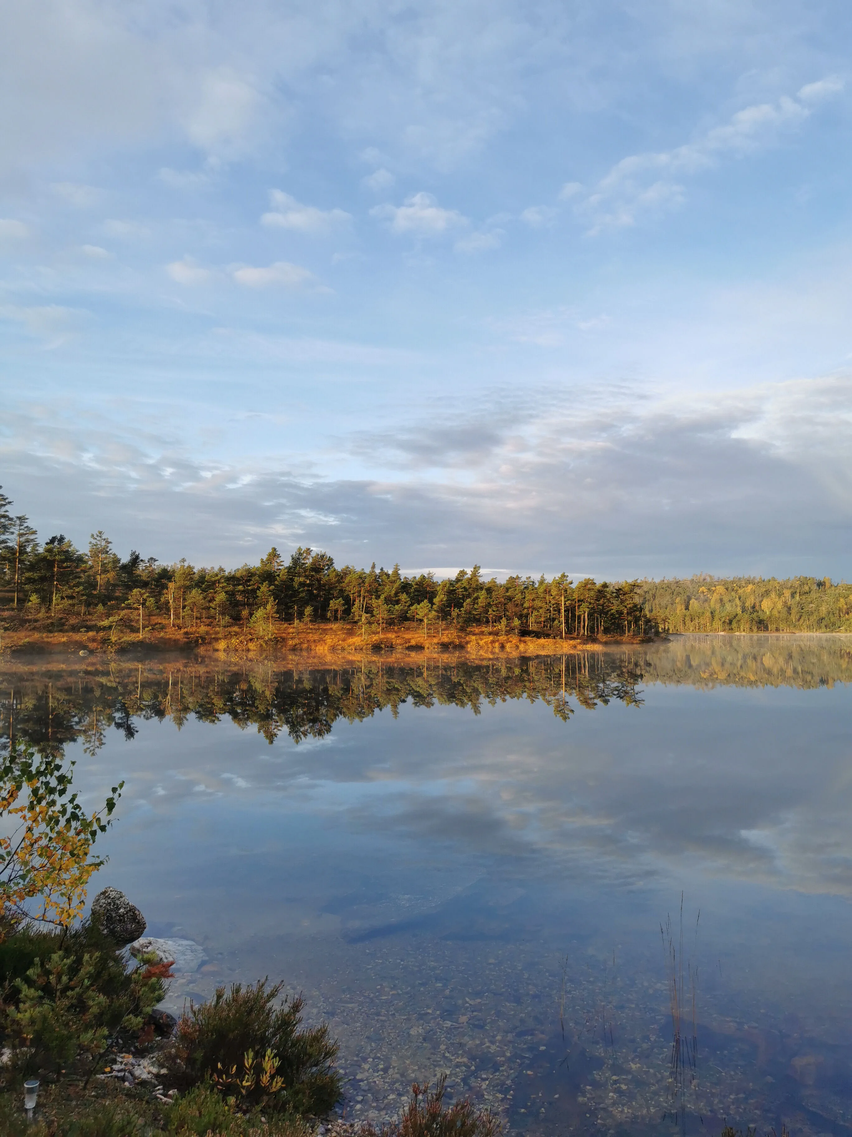 Forest trail in Mykland