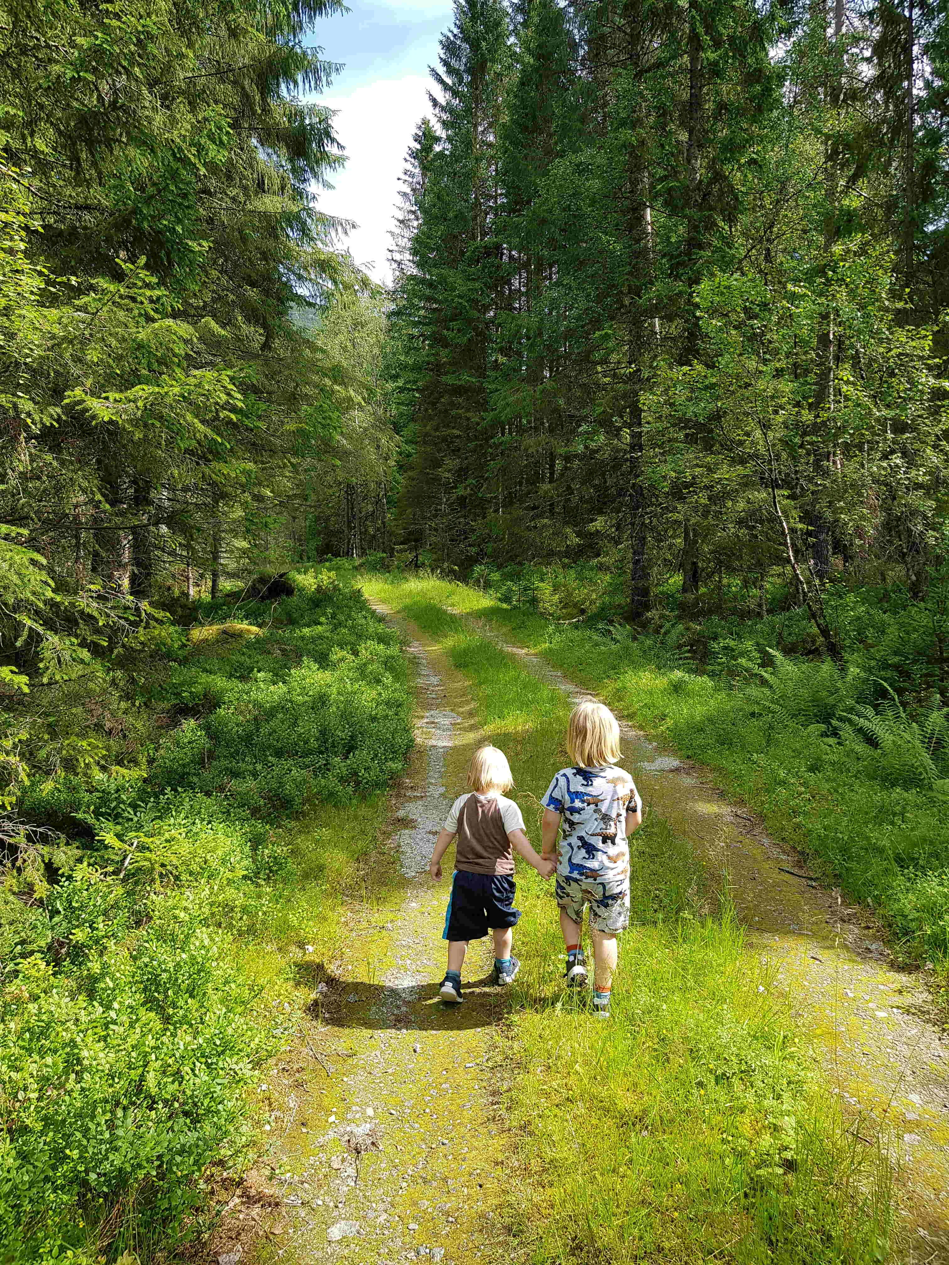 Children exploring the outdoors near Solheim