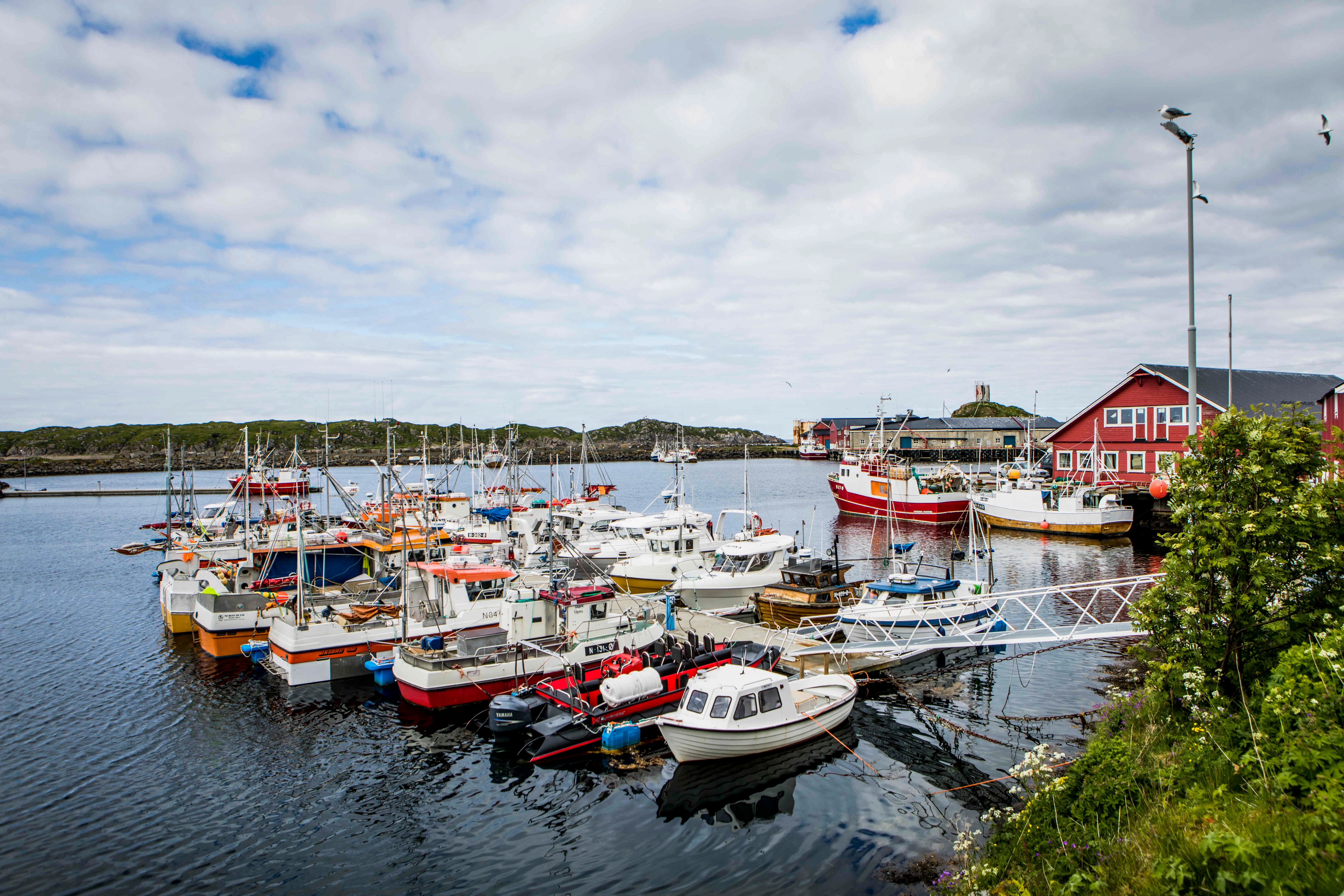 Scenic view from the Vesterålen coast