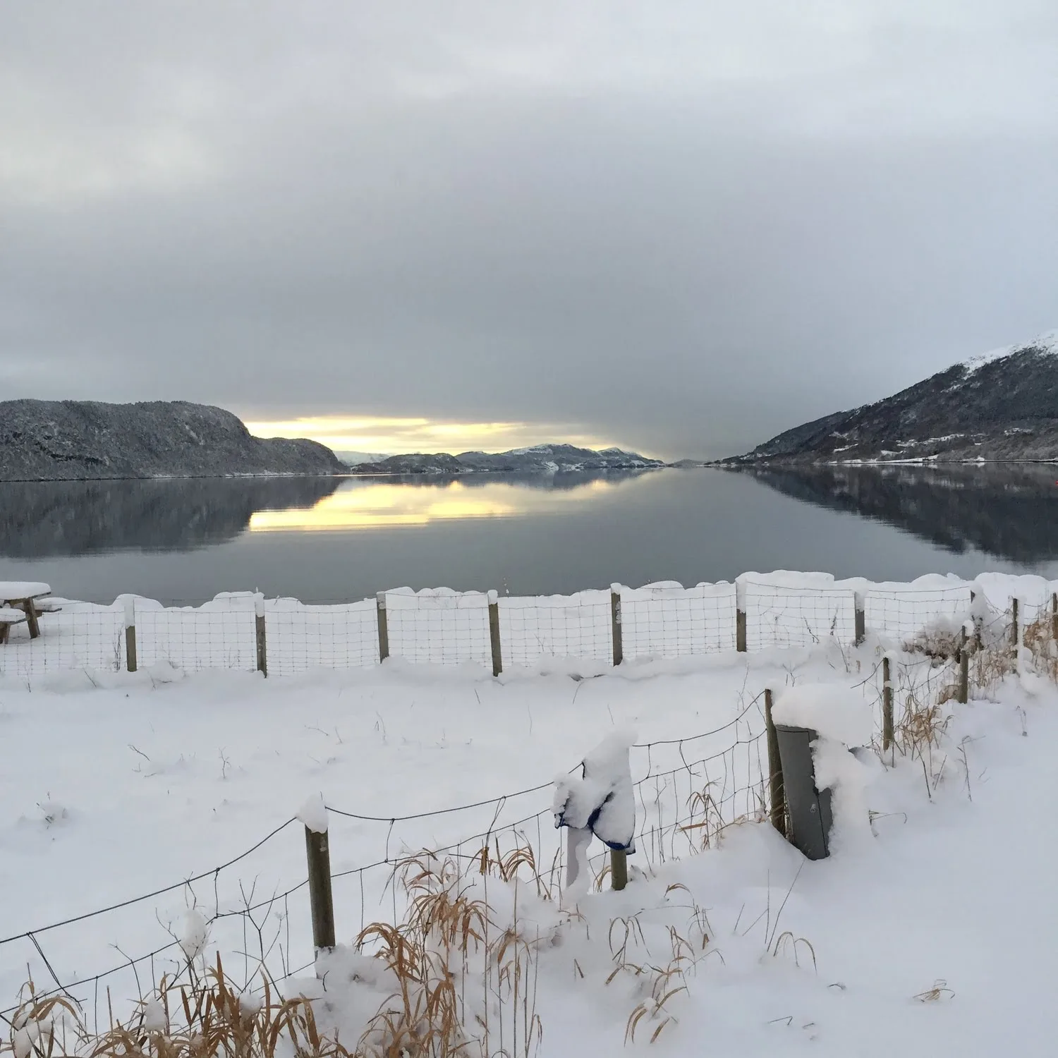 Nature scene in Tennfjord