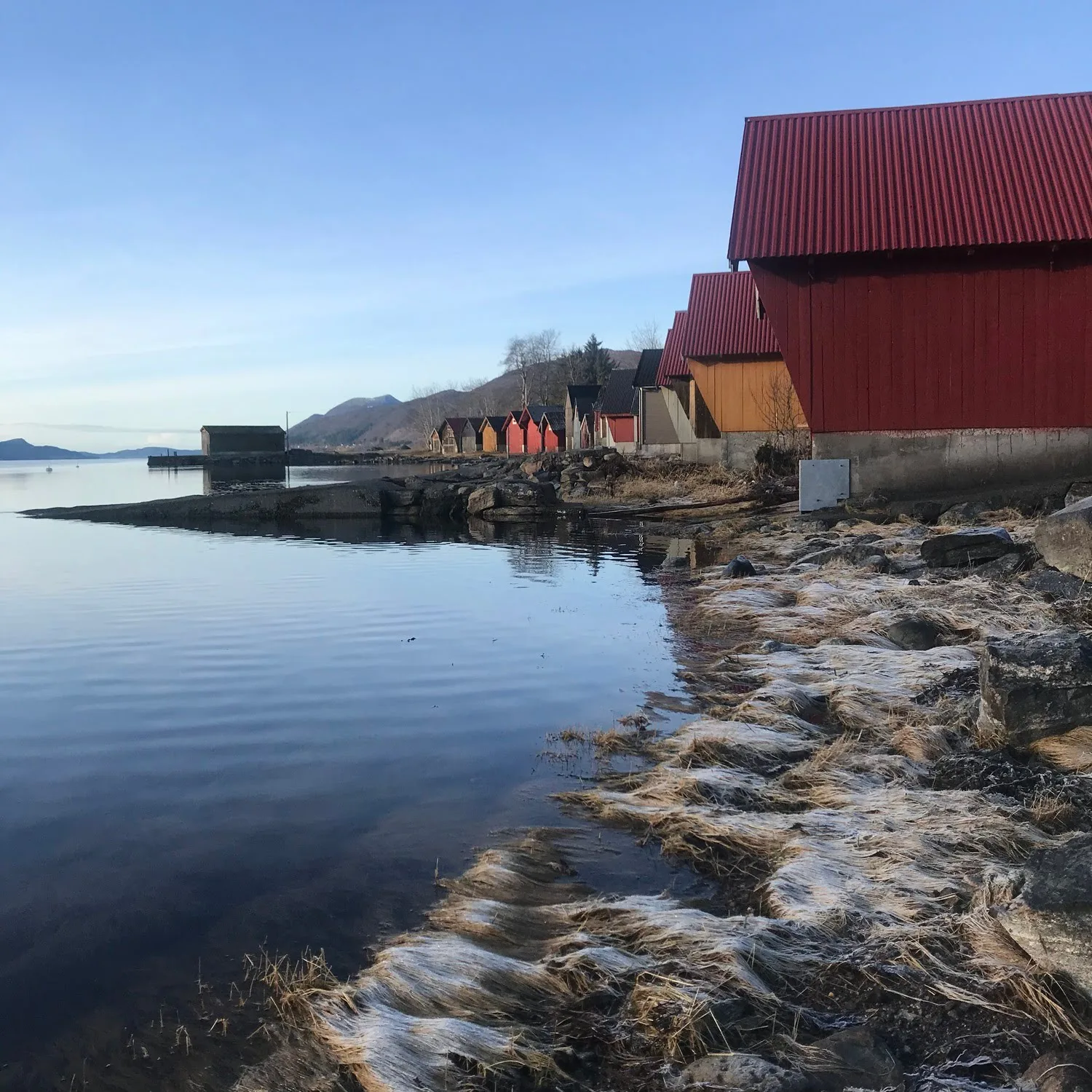 Peaceful moment by the fjord